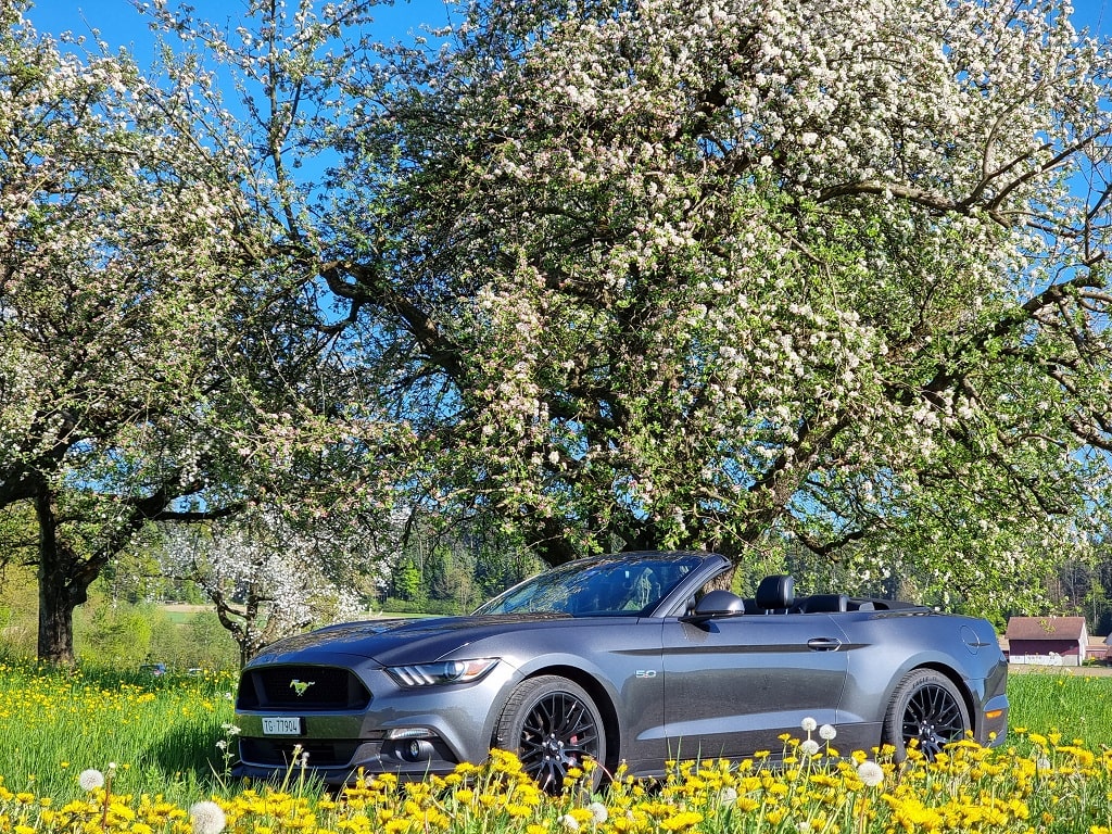 Ford Mustang Cabriolet Seite-min